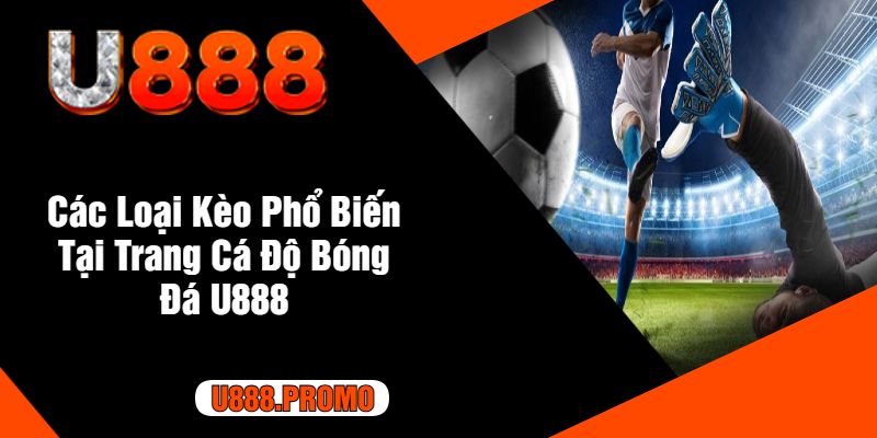 Các Loại Kèo Phổ Biến Tại Trang Cá Độ Bóng Đá U888